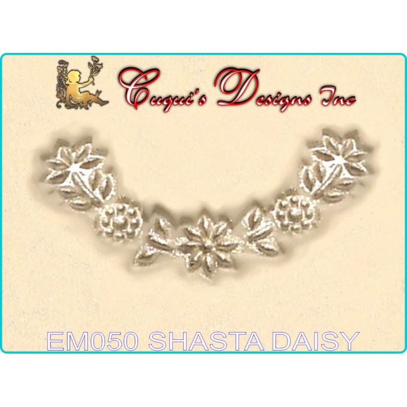 SHASTA DAISY