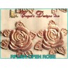 OPEN ROSE